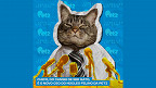 Petz (PETZ3) conclui a aquisição da plataforma Cansei De Ser Gato