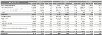 Desempenho por segmento. Créditos: Reprodução/EDP