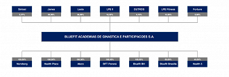 Composição societária da Bluefit. - Fonte: Minuta do Prospecto do IPO/CVM.