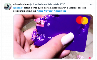 Mais de 6 mil clientes já tiveram cartões estragados por seus cães. Créditos: Divulgação/Nubank