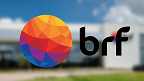 BRF investe em energia solar em parceria com a Intrepid