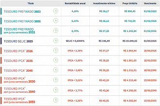 Reprodução/Site do Tesouro Direto