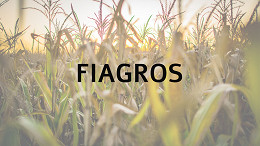 Fiagro: Brasil conta com 31 fundos registrados; veja quais são eles Fiagro: Brasil conta com 31 fundos registrados; veja quais são eles