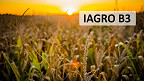 IAGRO: conheça o primeiro índice de empresas do agronegócio da B3