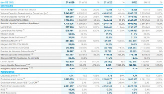 Principais números do 3T20 da Duratex. Fonte: release.